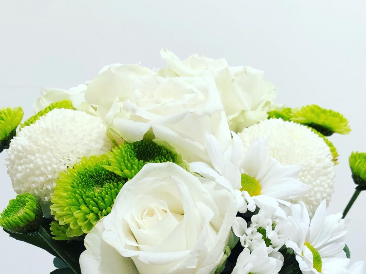 個展に頂いた三種の白い花「薔薇、菊、マーガレット」